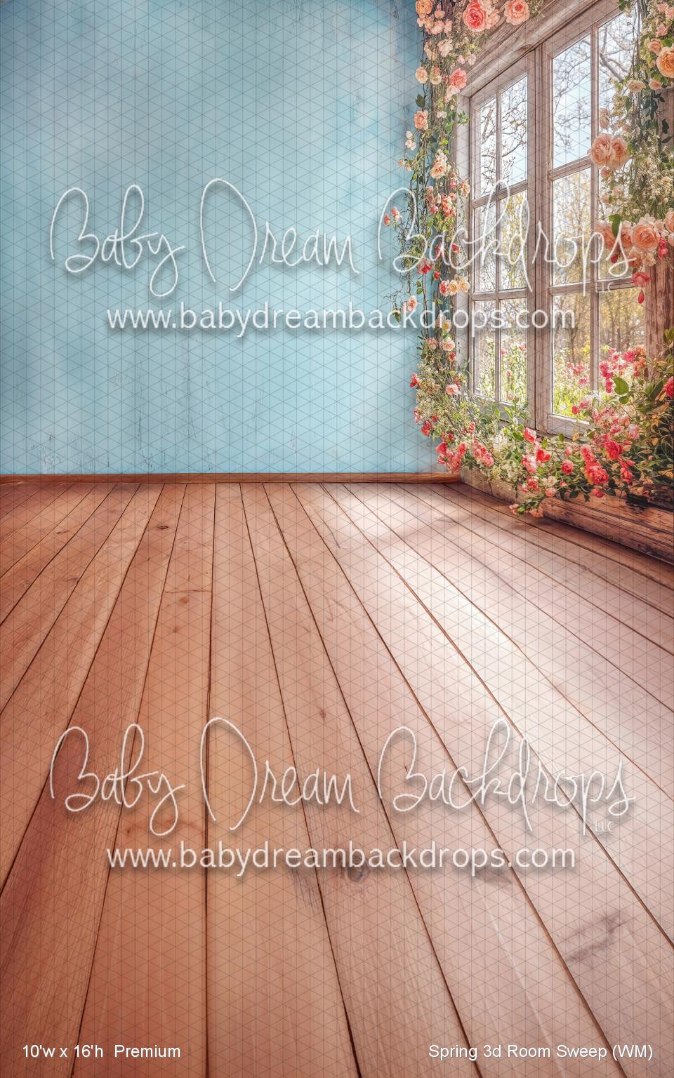 Spring 3d Room Sweep (WM)