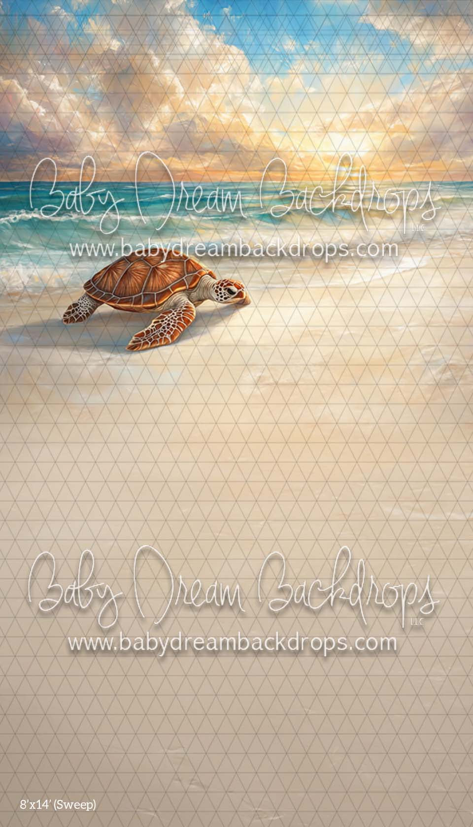 X Drop Sweep Summer Shores (CM)