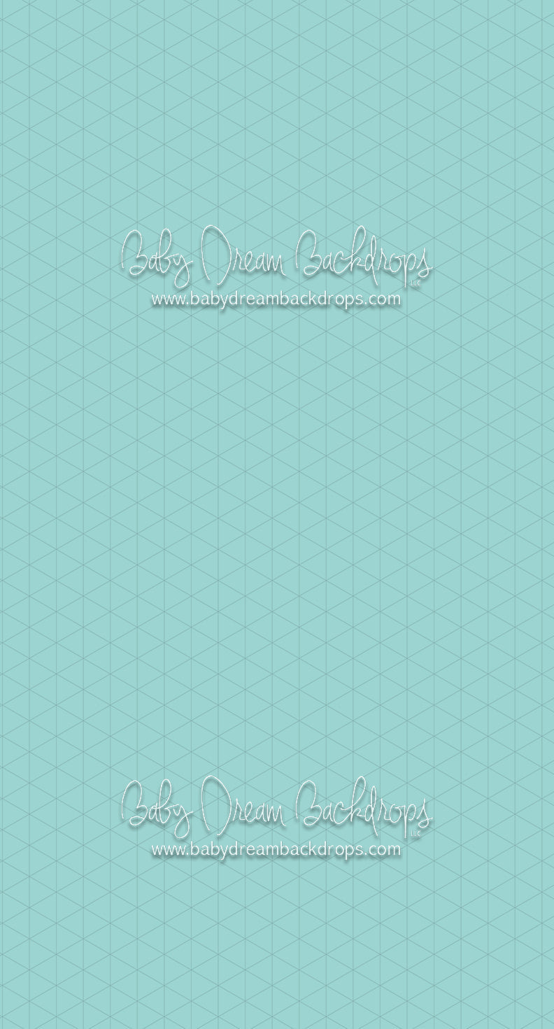 Sweeps Smooth Robin's Egg (CC)