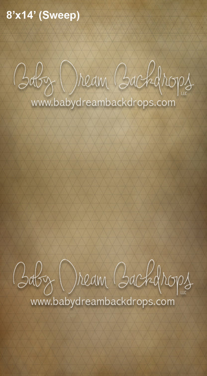 Sweeps CTandRina Fine Art Camel (AZ)