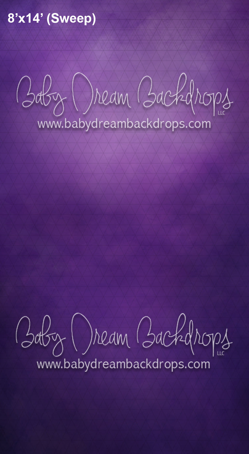 Sweeps CTandRina Fine Art Dream (AZ)