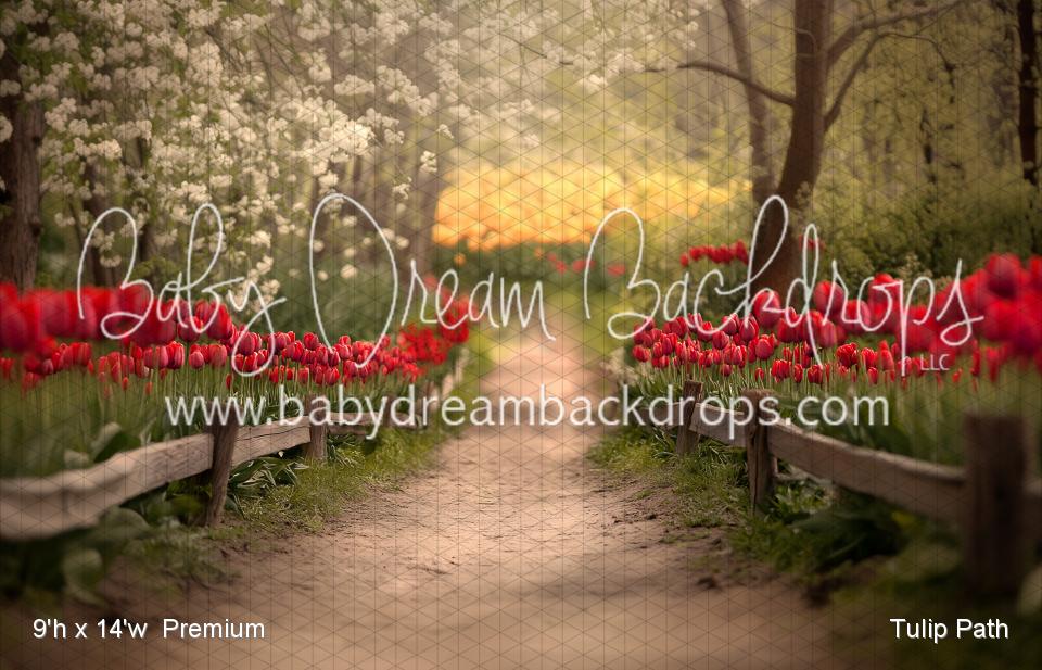 Tulip Path (VR)
