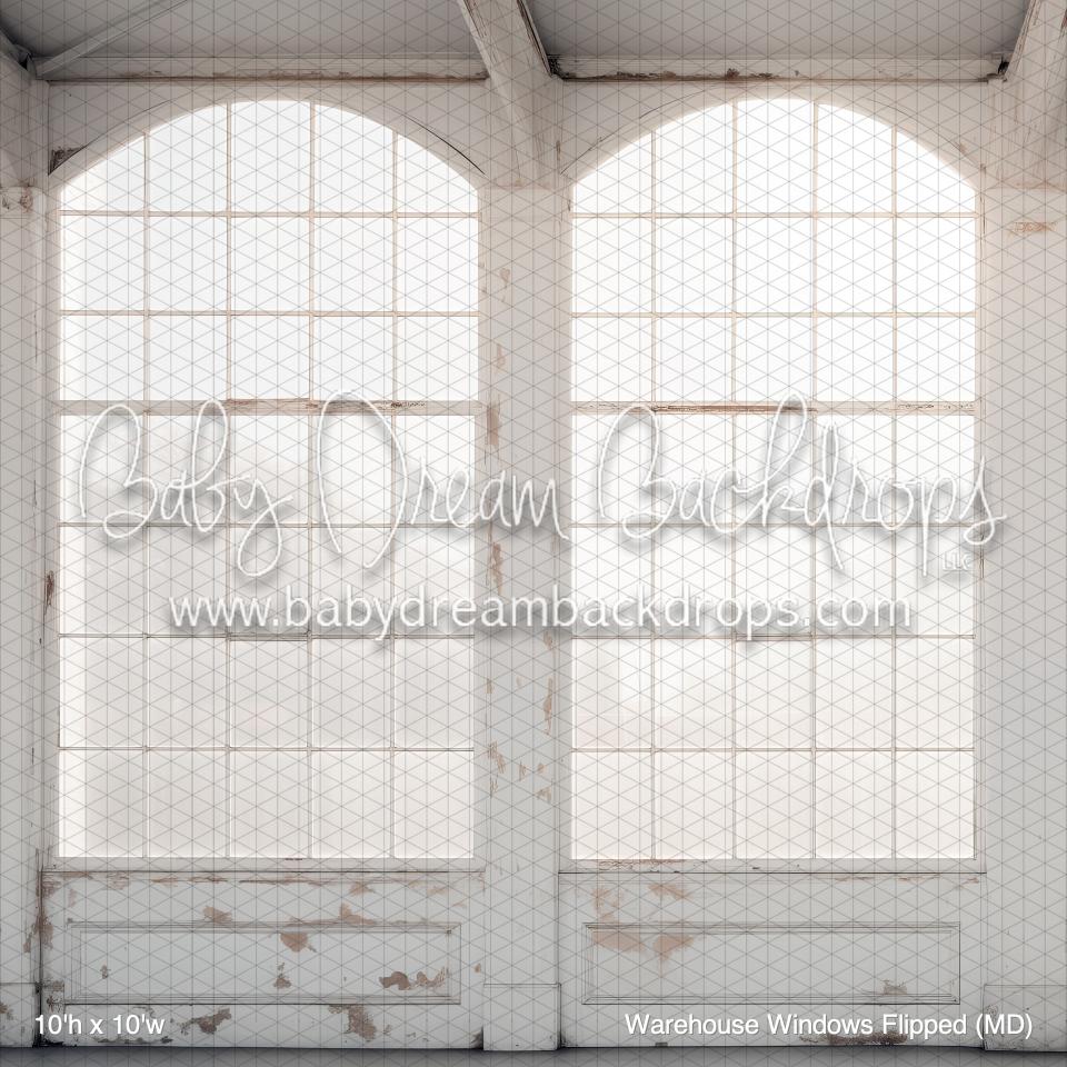 Warehouse Windows Flipped (MD)