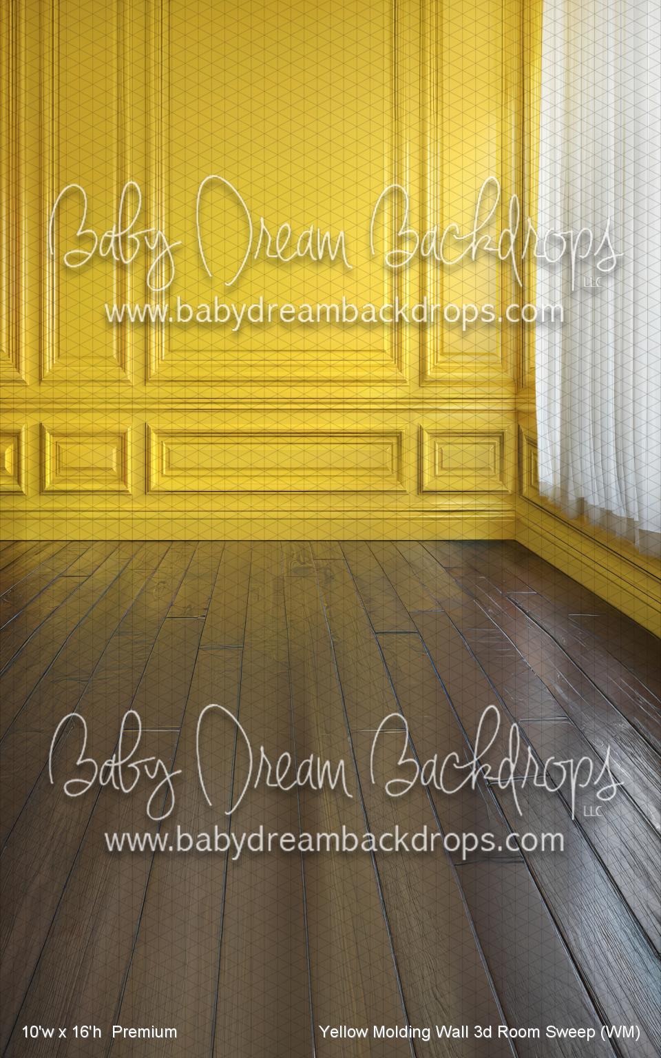 Yellow Molding Wall 3d Room Sweep (WM)