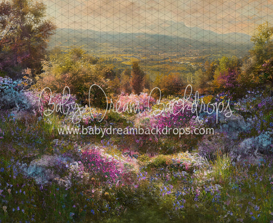 Hill Top Spring (LL)