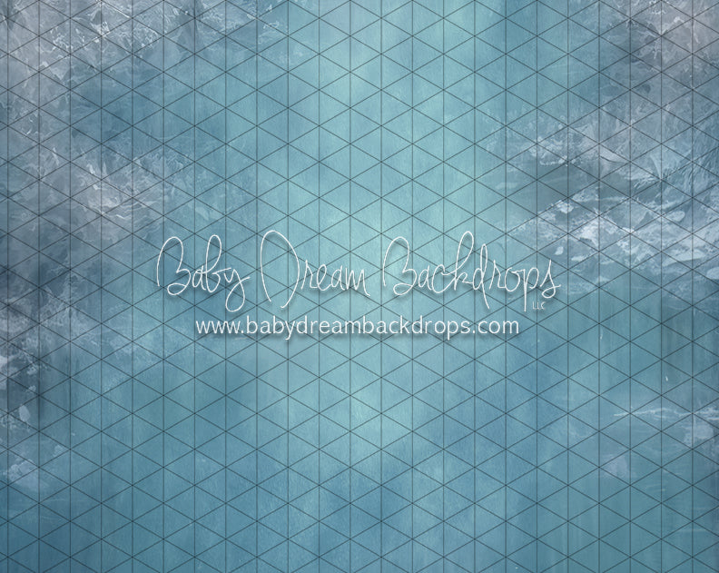 Pond Skating Fabric Floor (LL)