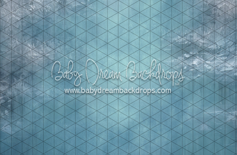 Pond Skating Fabric Floor (LL)