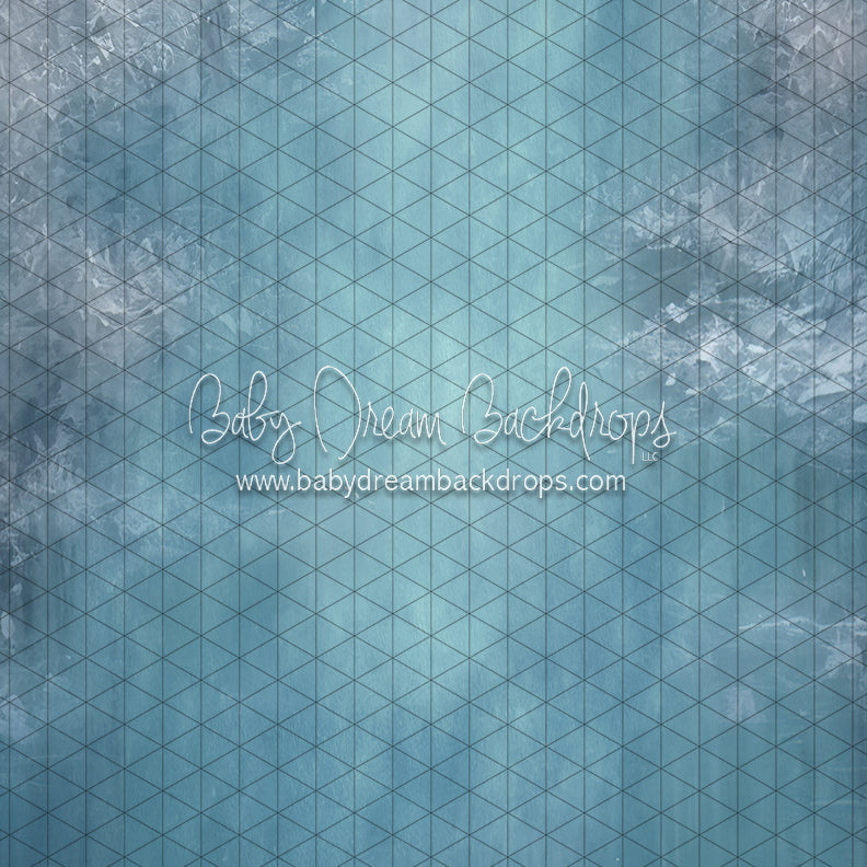 Pond Skating Fabric Floor (LL)