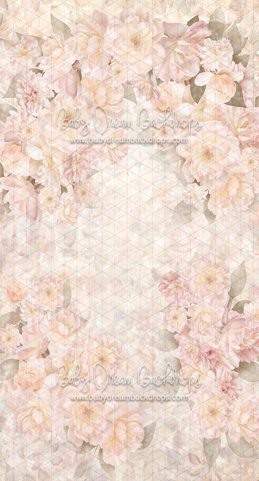 Sweeps Carry Me Away