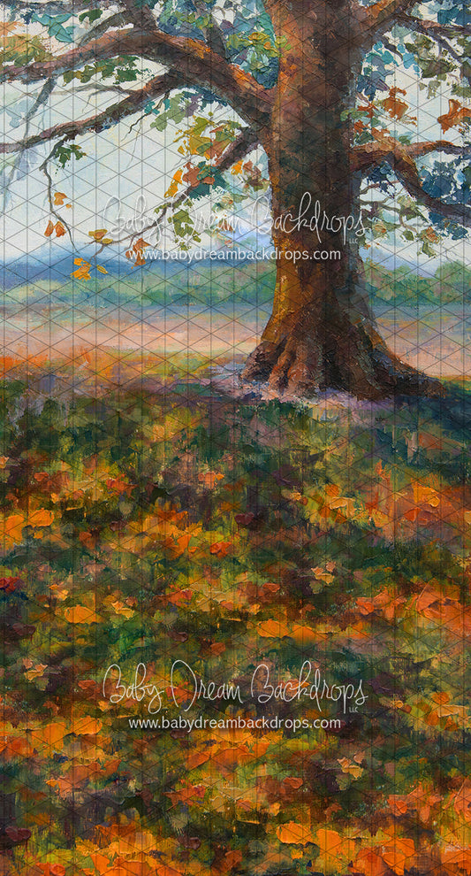 Sweeps Colorful Brushed Fall (LL)