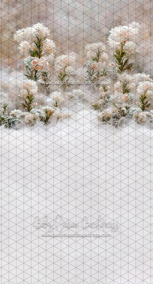 Sweeps Flirty Frost (LL)