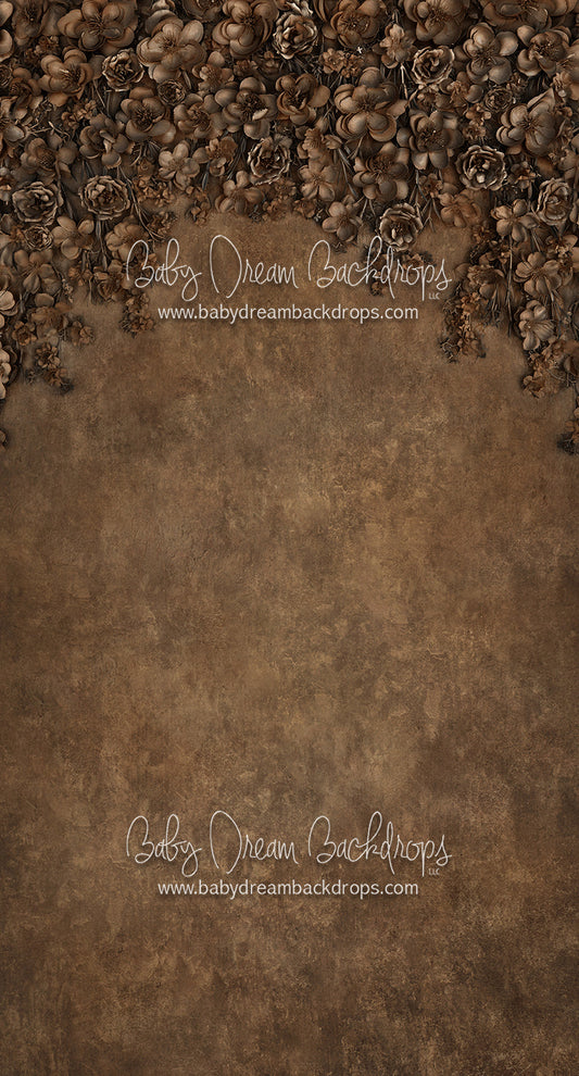 Sweeps Miss Maddie Bronze