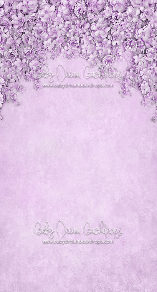 Sweeps Miss Maddie Lavender