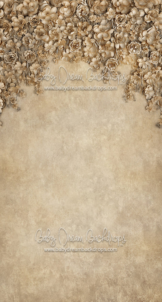 Sweeps Miss Maddie Tawny