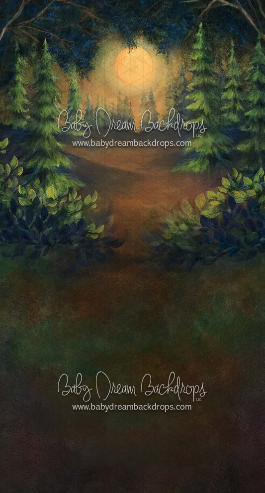 Sweeps Moonlit Wilderness