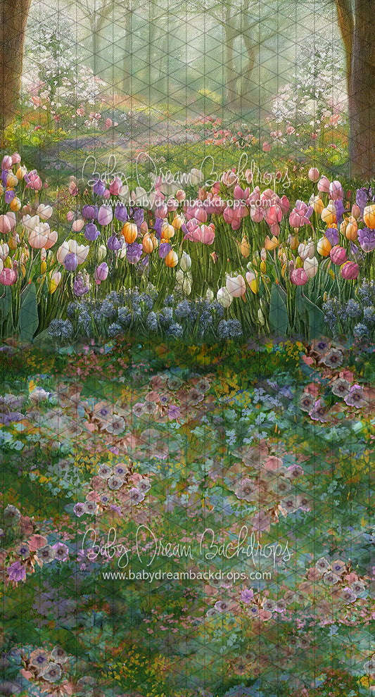 Sweeps Tulip Breeze (LL)