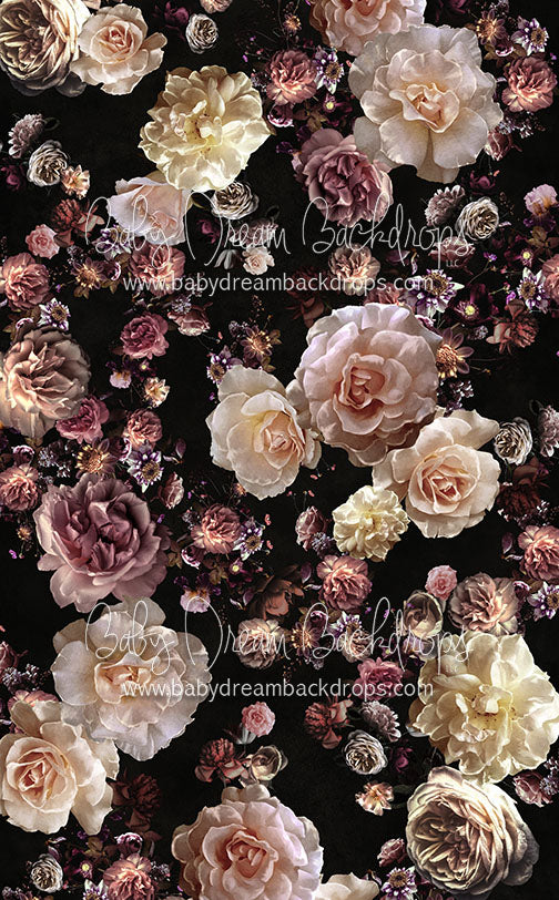 Sweeps Chanda - 10x16 - CC (Premium)